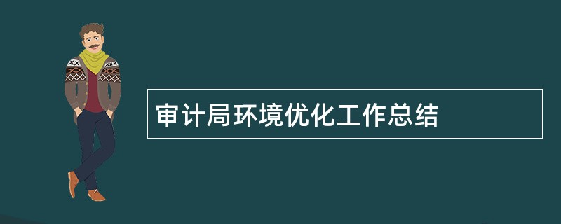 审计局环境优化工作总结