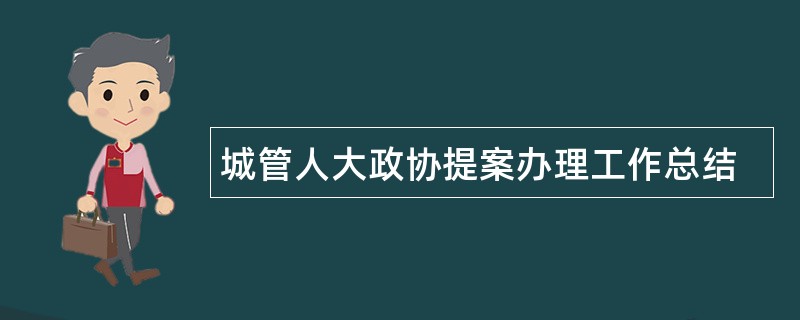 城管人大政协提案办理工作总结