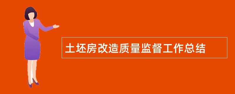 土坯房改造质量监督工作总结