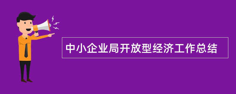 中小企业局开放型经济工作总结