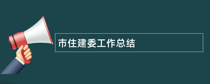 市住建委工作总结