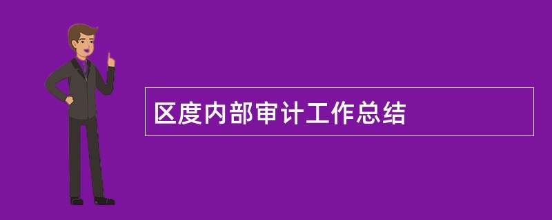 区度内部审计工作总结