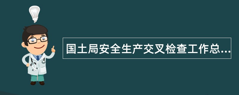 国土局安全生产交叉检查工作总结