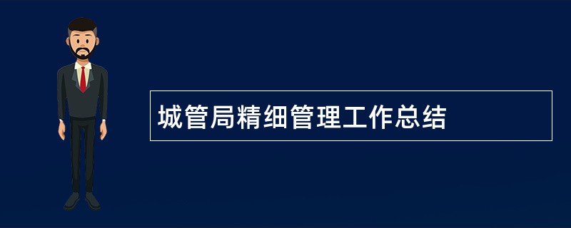 城管局精细管理工作总结