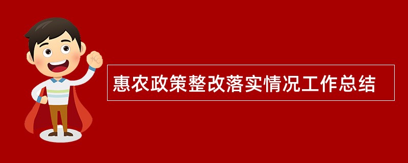 惠农政策整改落实情况工作总结