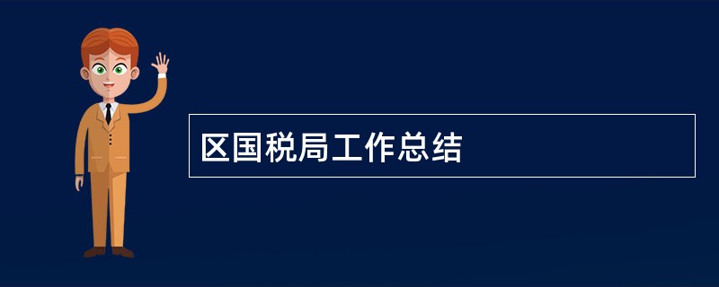 区国税局工作总结