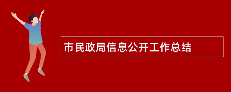 市民政局信息公开工作总结