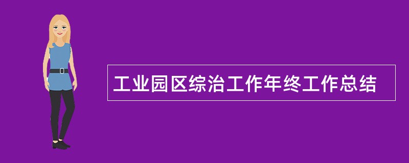 工业园区综治工作年终工作总结