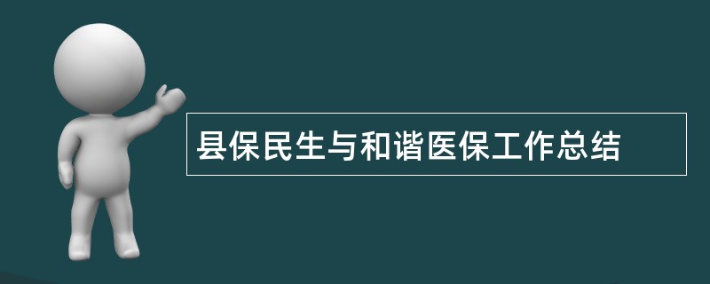 县保民生与和谐医保工作总结