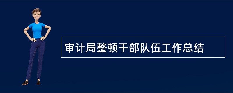 审计局整顿干部队伍工作总结