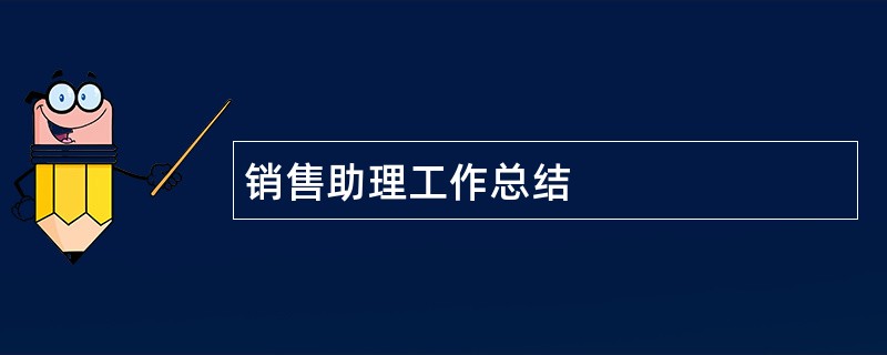 销售助理工作总结