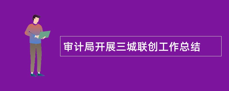 审计局开展三城联创工作总结