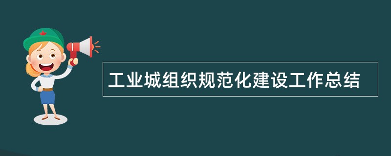 工业城组织规范化建设工作总结