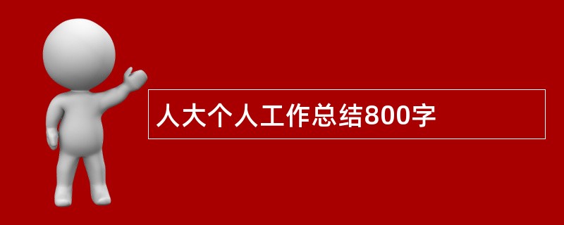 人大个人工作总结800字