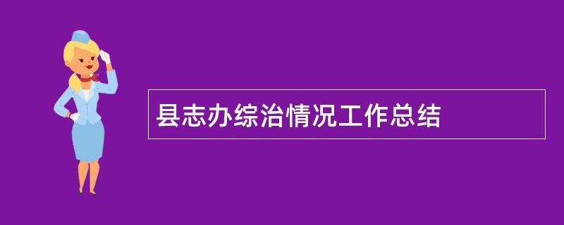 县志办综治情况工作总结