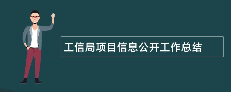 工信局项目信息公开工作总结