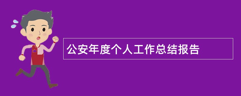 公安年度个人工作总结报告