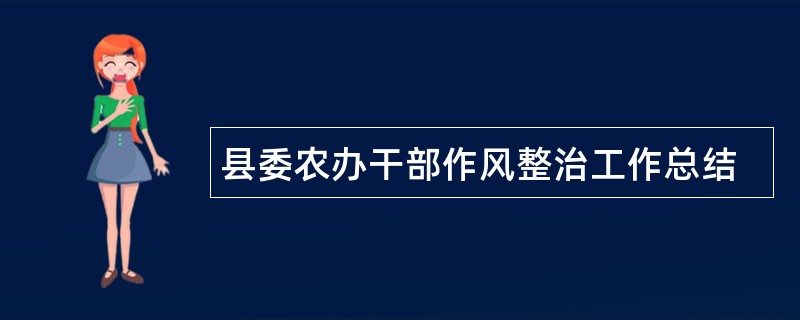 县委农办干部作风整治工作总结