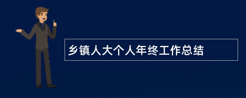 乡镇人大个人年终工作总结