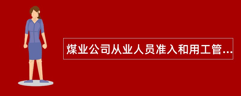 煤业公司从业人员准入和用工管理工作总结材料