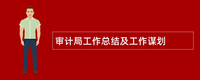 审计局工作总结及工作谋划