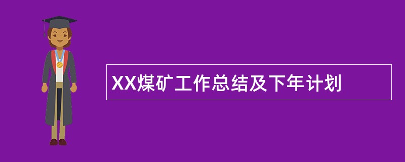 XX煤矿工作总结及下年计划