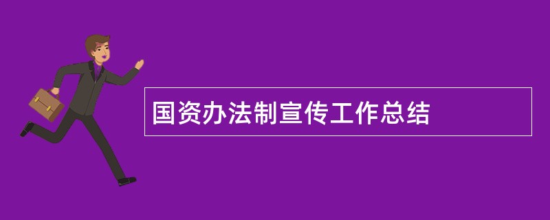 国资办法制宣传工作总结