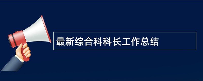 最新综合科科长工作总结