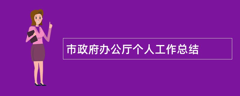 市政府办公厅个人工作总结