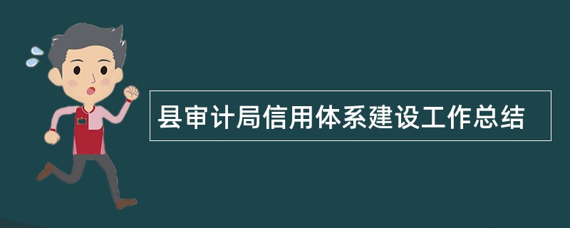 县审计局信用体系建设工作总结