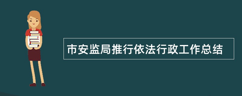 市安监局推行依法行政工作总结