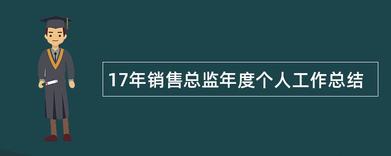 17年销售总监年度个人工作总结