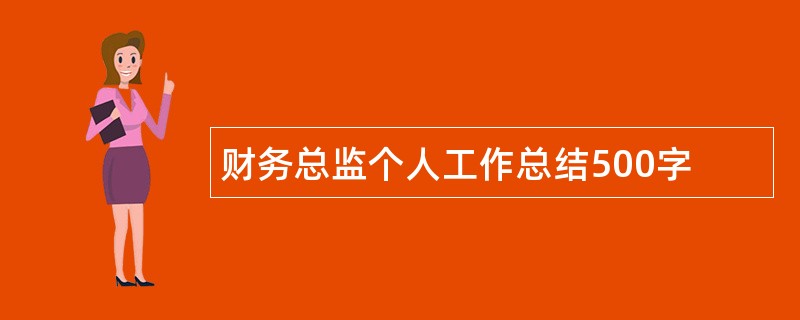 财务总监个人工作总结500字