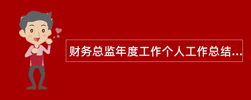 财务总监年度工作个人工作总结500字