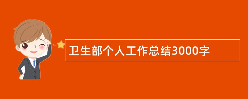 卫生部个人工作总结3000字