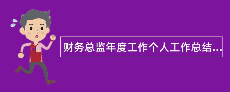 财务总监年度工作个人工作总结500字