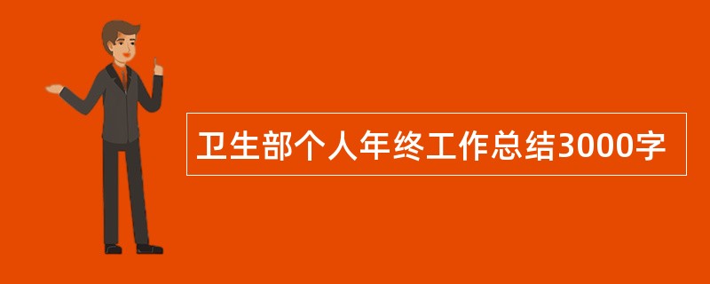 卫生部个人年终工作总结3000字