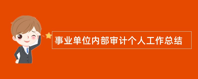 事业单位内部审计个人工作总结