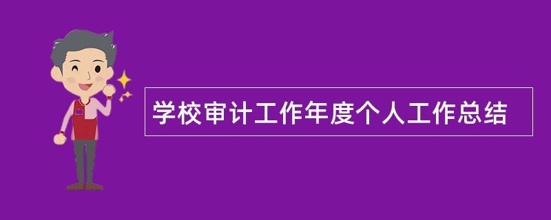 学校审计工作年度个人工作总结