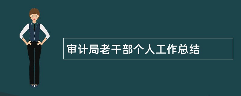 审计局老干部个人工作总结