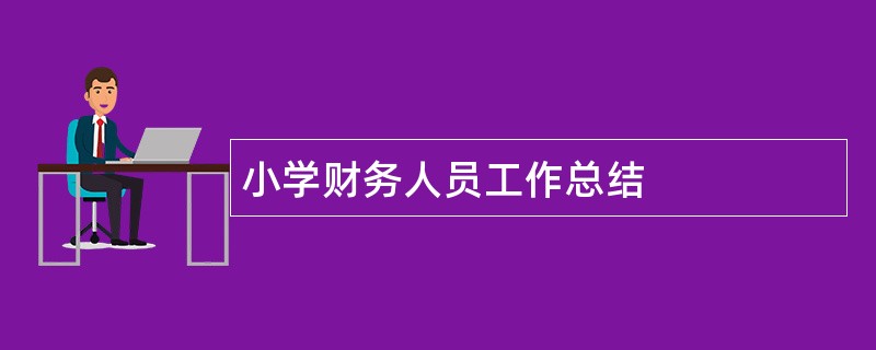 小学财务人员工作总结