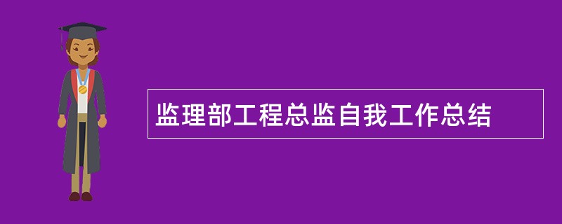 监理部工程总监自我工作总结