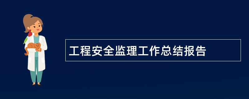 工程安全监理工作总结报告