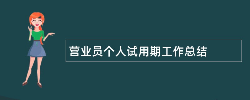 营业员个人试用期工作总结