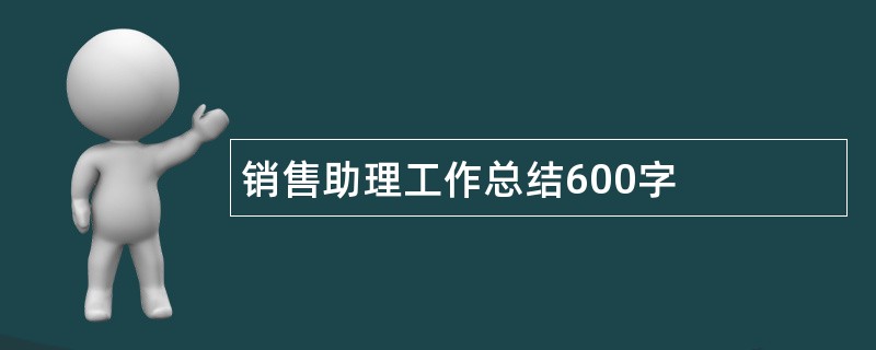 销售助理工作总结600字