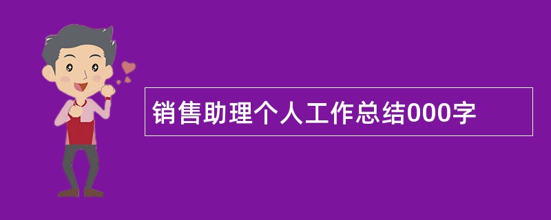 销售助理个人工作总结000字