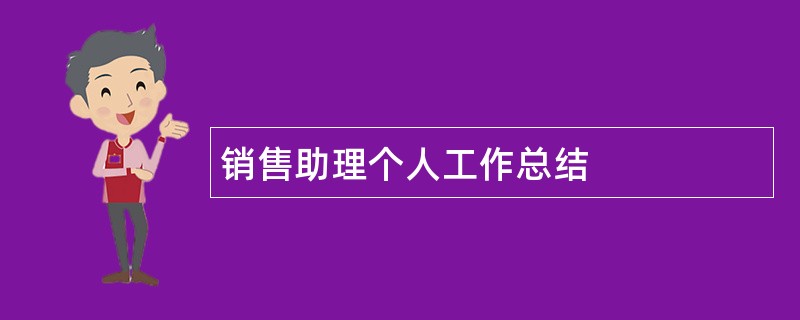 销售助理个人工作总结