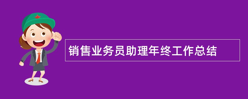 销售业务员助理年终工作总结