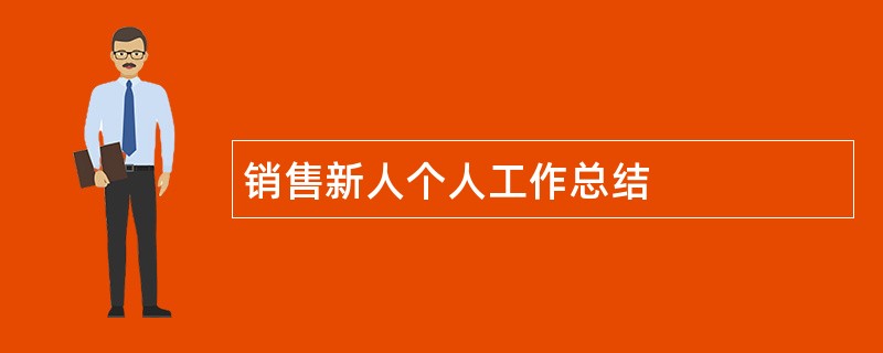 销售新人个人工作总结