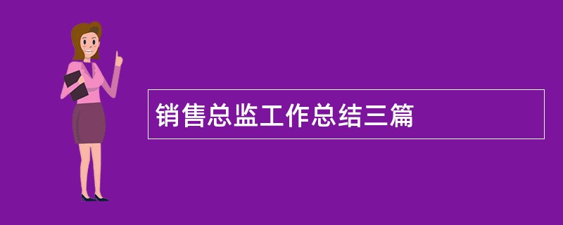 销售总监工作总结三篇